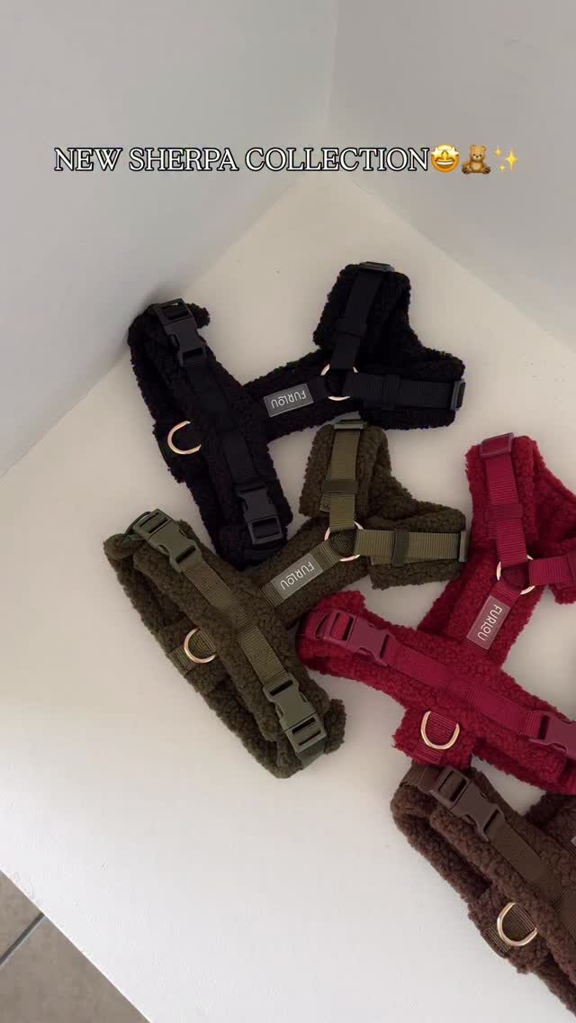 Instagram post from scottysdoggoods. This post is in position 1.