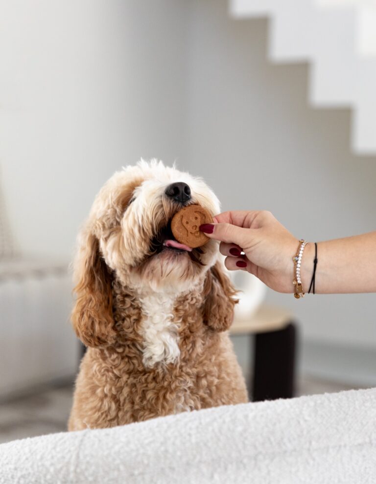 Instagram post from scottysdoggoods. This post is in position 3.