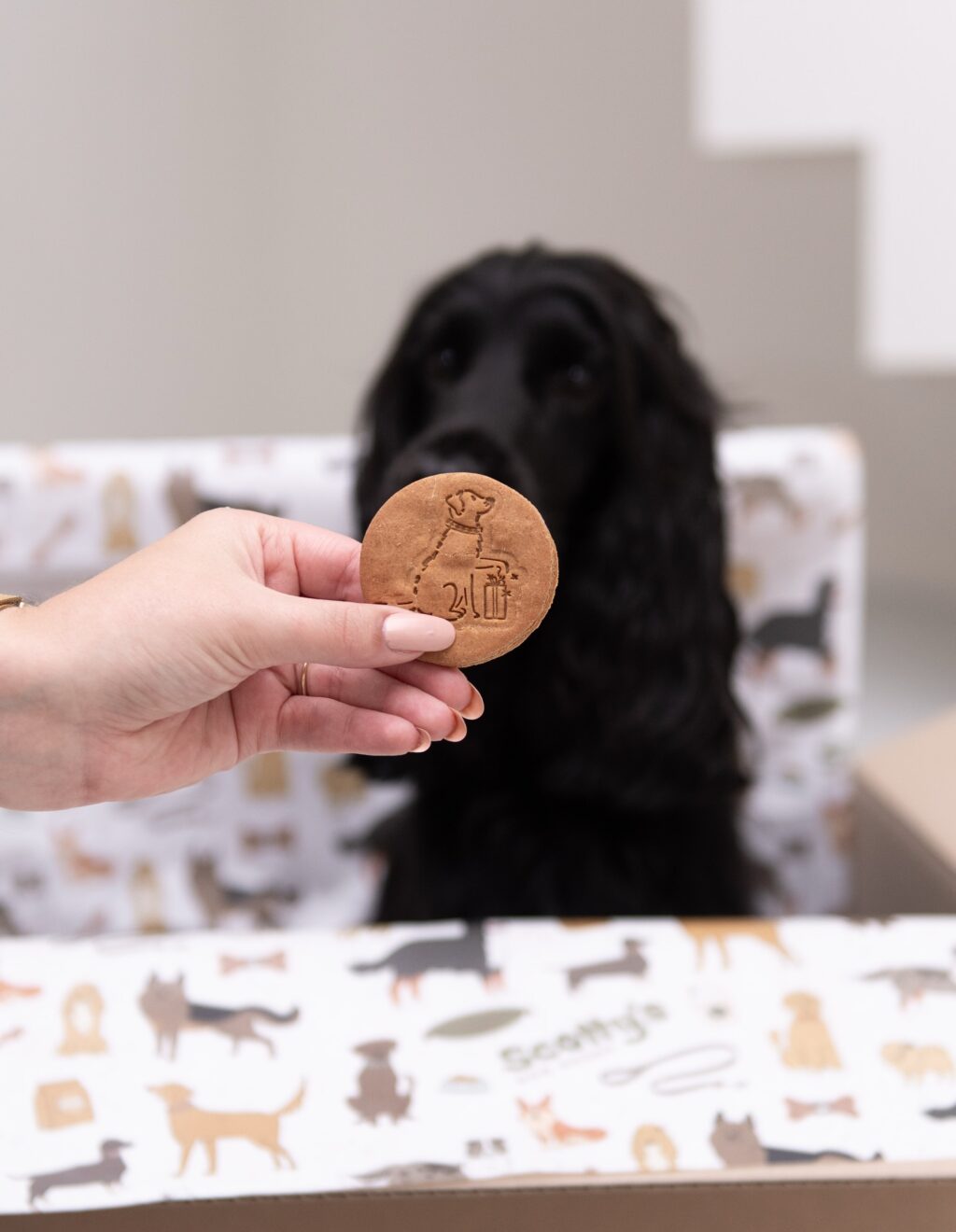 Instagram post from scottysdoggoods. This post is in position 1.