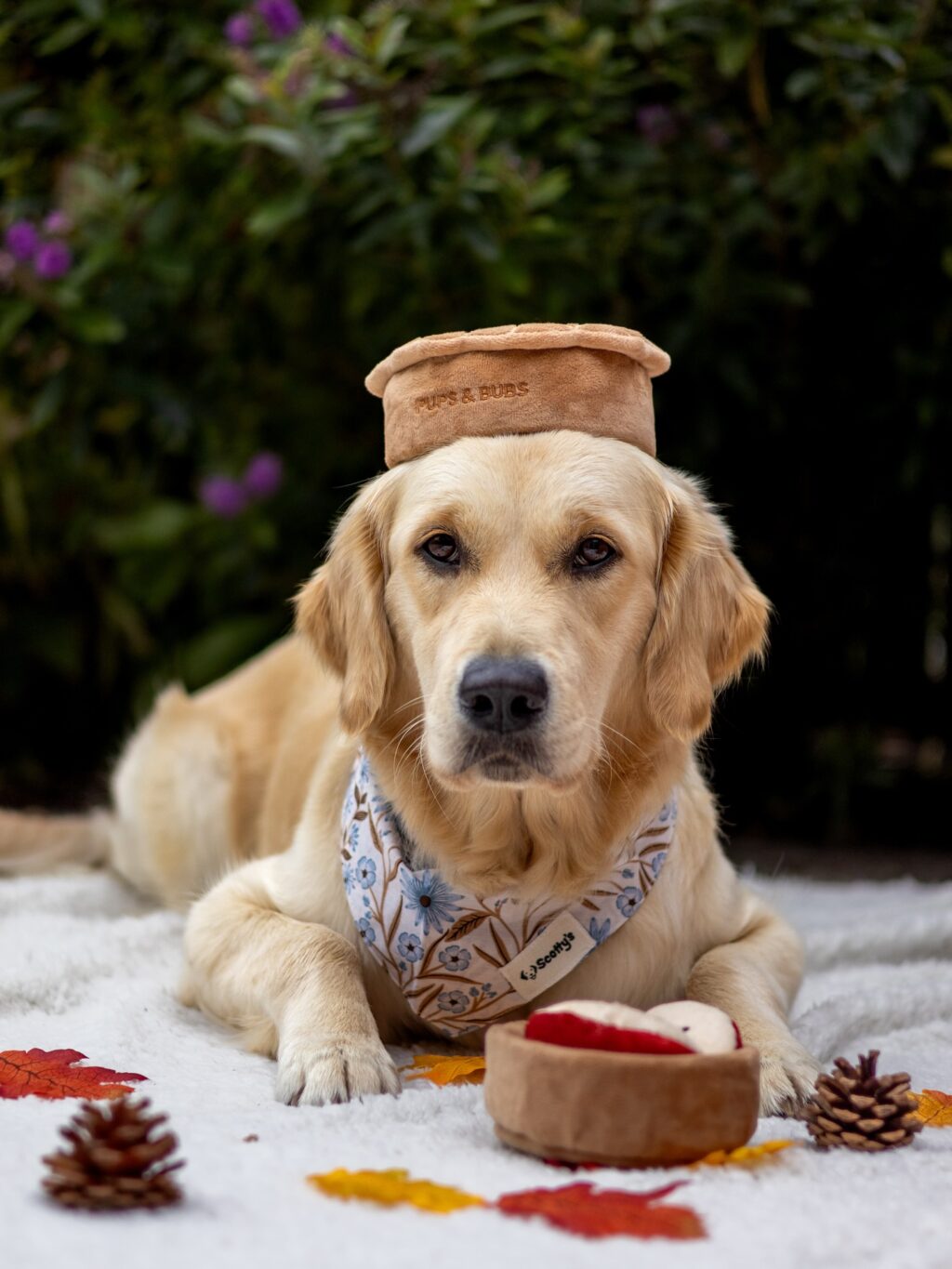 Instagram post from scottysdoggoods. This post is in position 0.