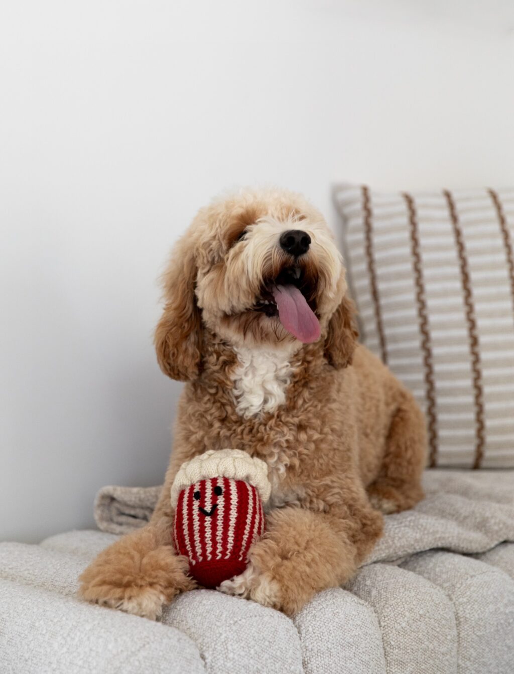 Instagram post from scottysdoggoods. This post is in position 3.