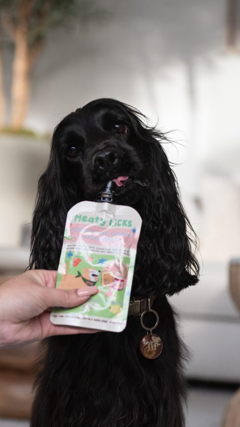 Instagram post from scottysdoggoods. This post is in position 1.