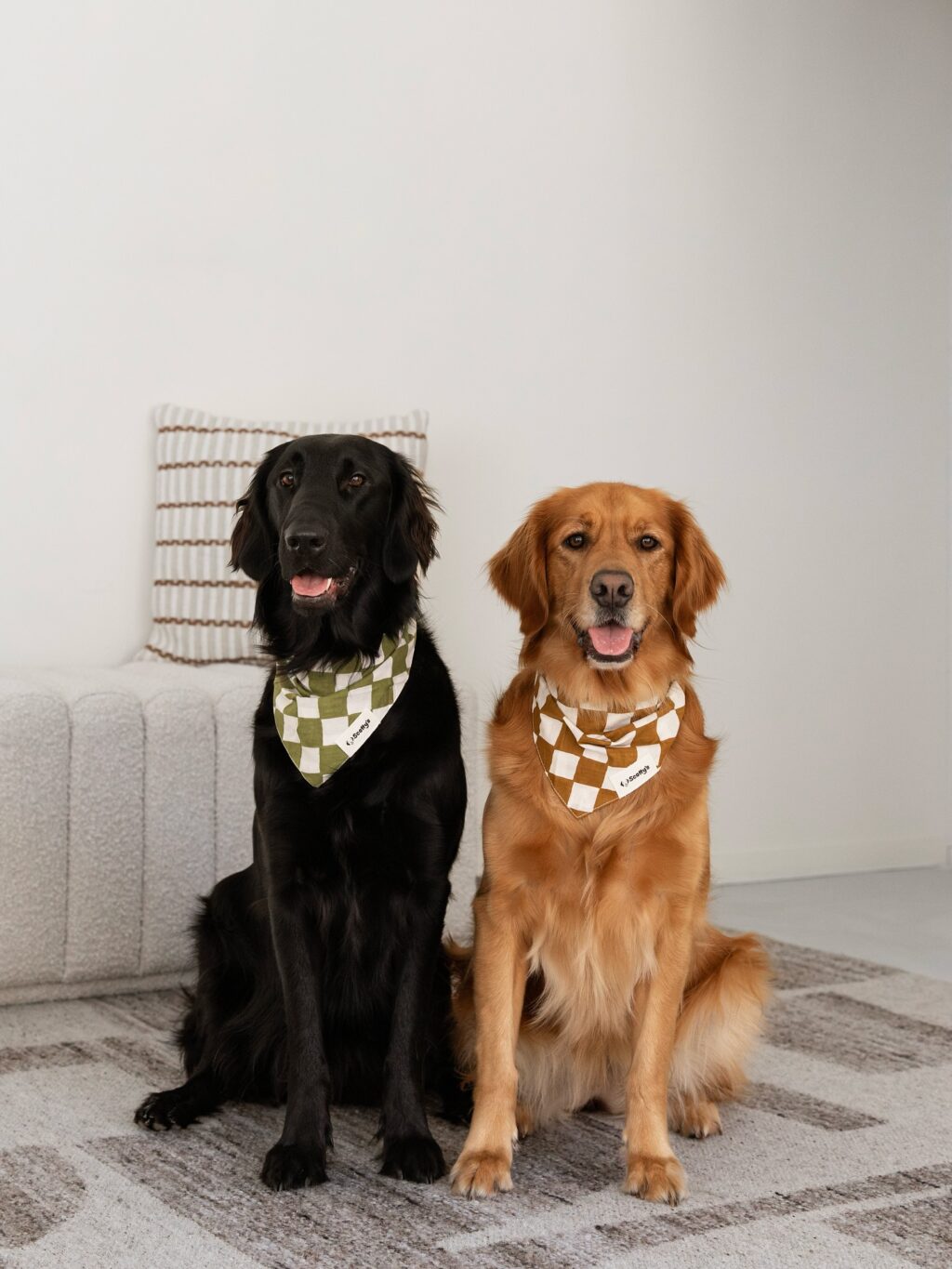 Instagram post from scottysdoggoods. This post is in position 0.