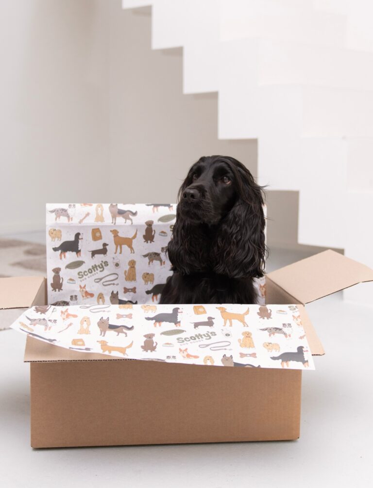 Instagram post from scottysdoggoods. This post is in position 1.