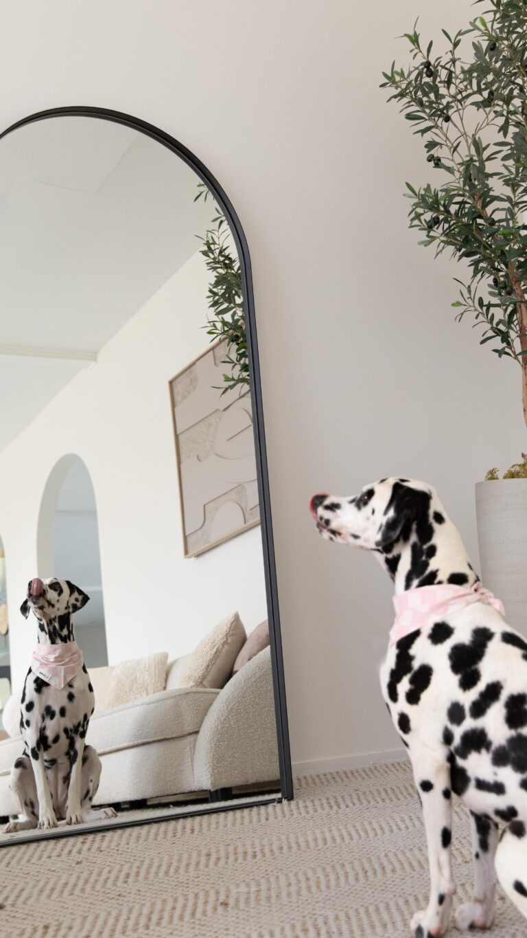 Instagram post from scottysdoggoods. This post is in position 2.