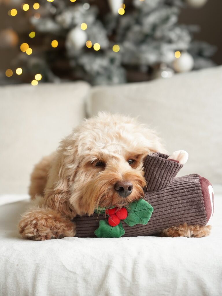 Instagram post from scottysdoggoods. This post is in position 2.