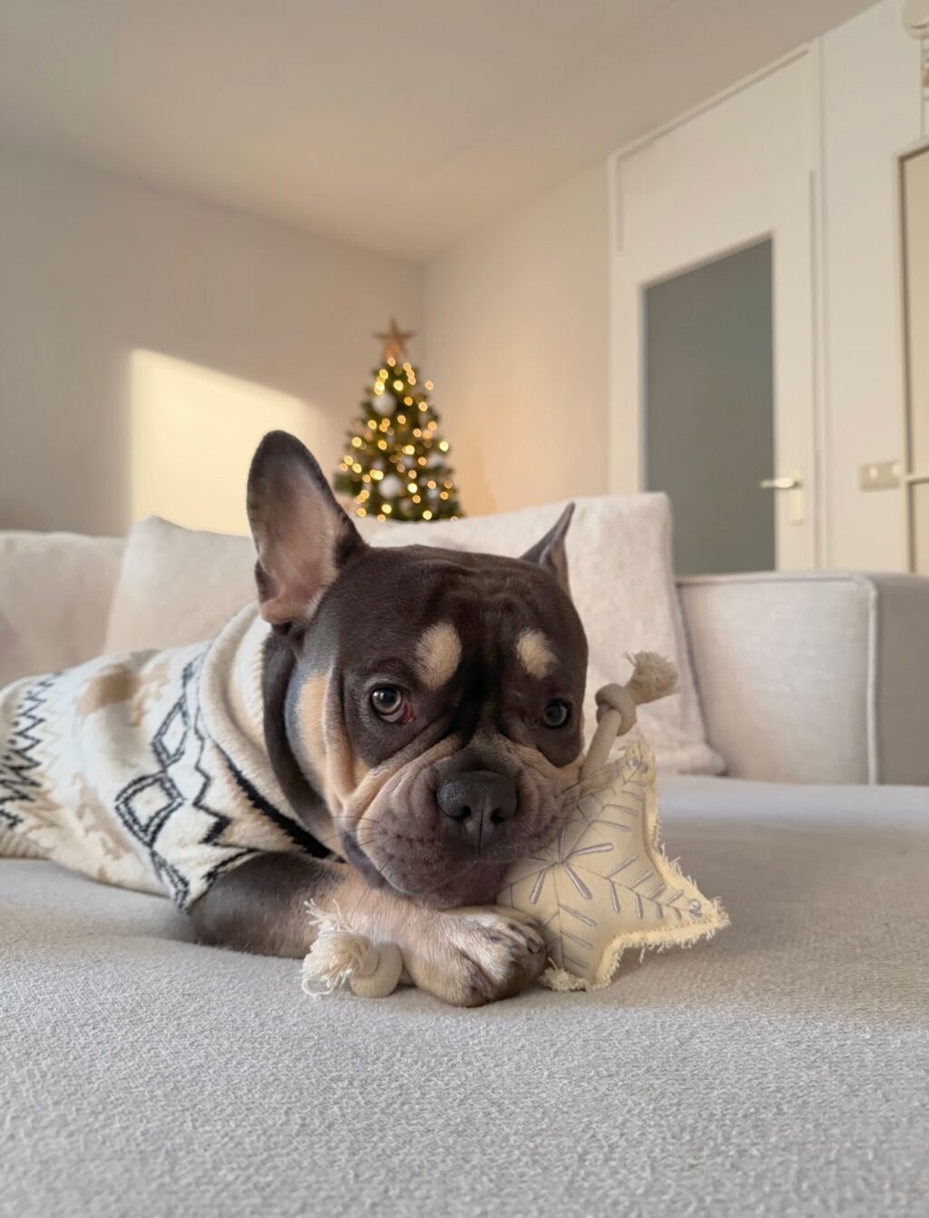 Instagram post from scottysdoggoods. This post is in position 8.