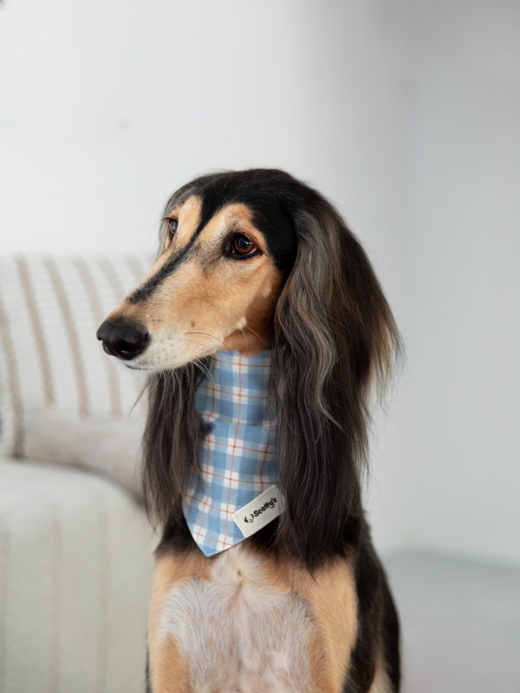 Instagram post from scottysdoggoods. This post is in position 2.