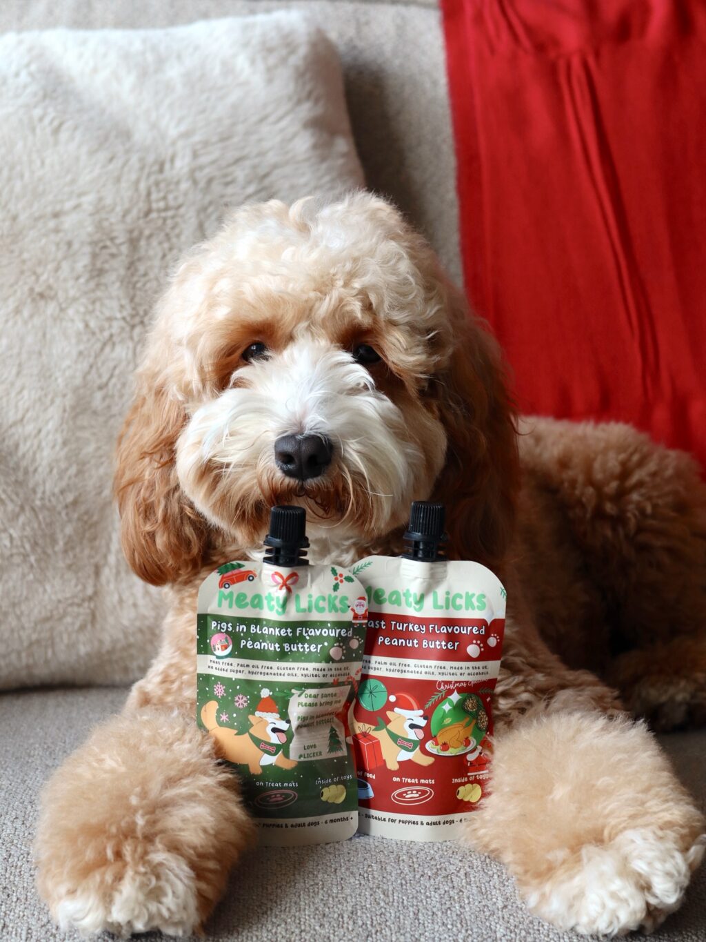 Instagram post from scottysdoggoods. This post is in position 13.