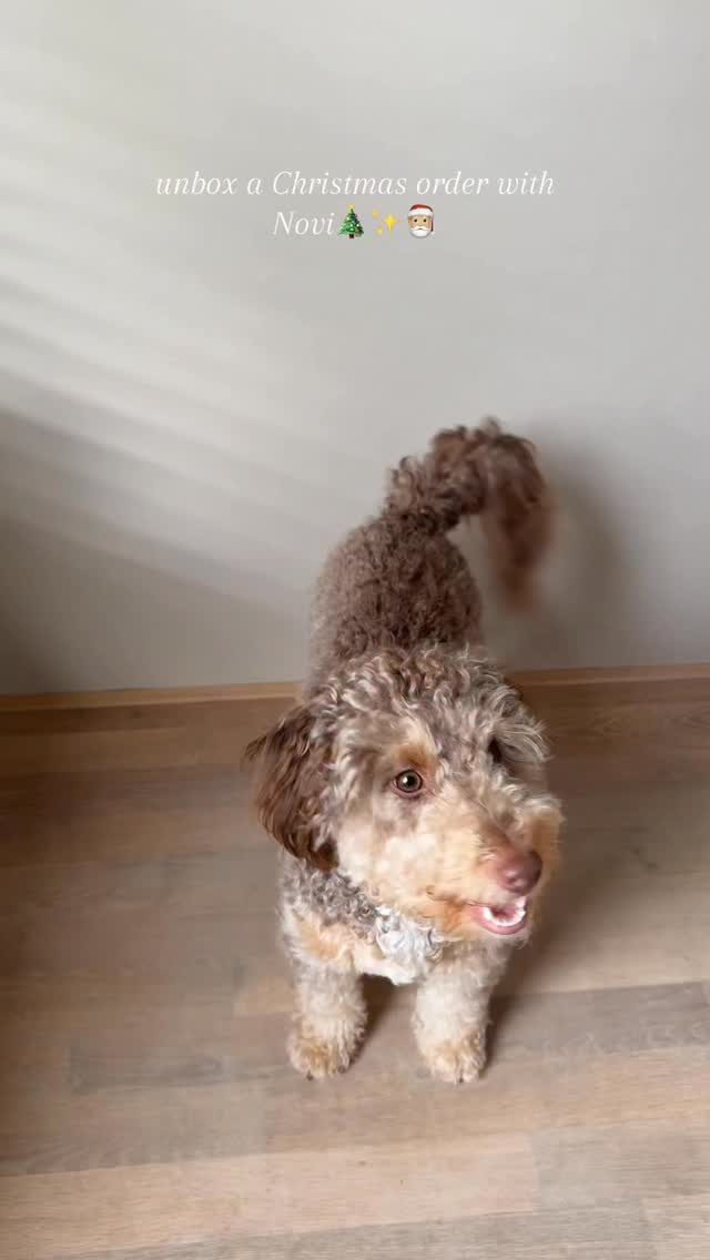 Instagram post from scottysdoggoods. This post is in position 5.