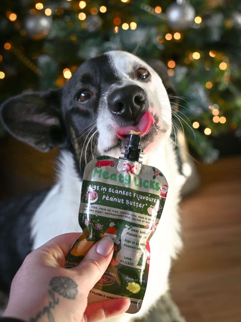 Instagram post from scottysdoggoods. This post is in position 8.