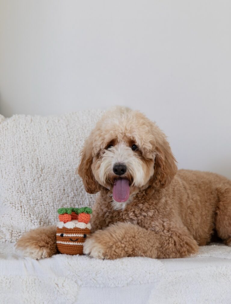 Instagram post from scottysdoggoods. This post is in position 2.