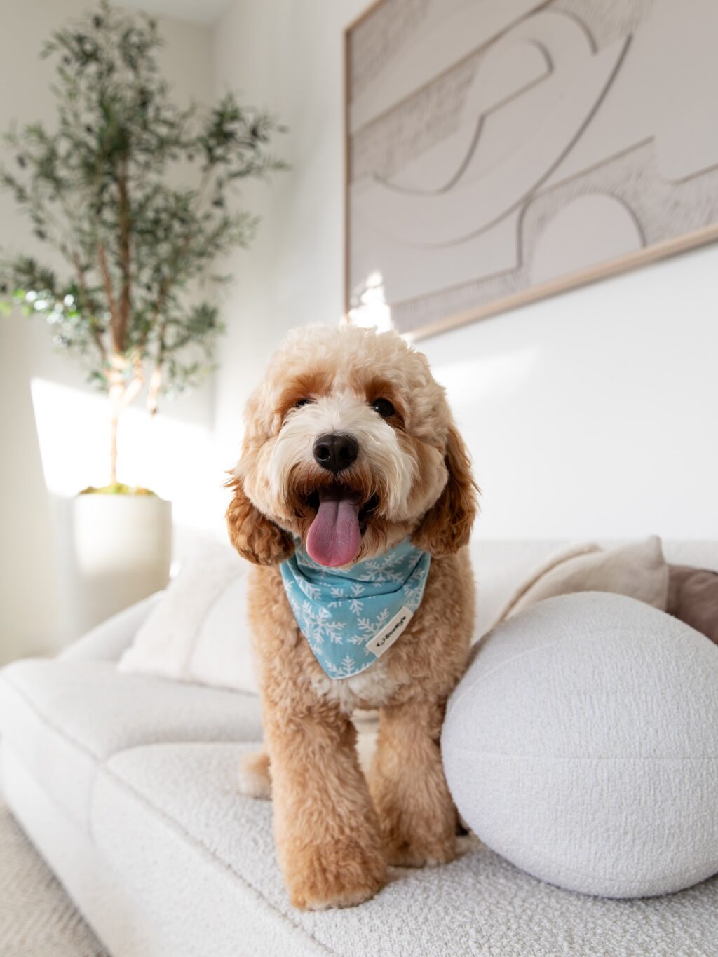 Instagram post from scottysdoggoods. This post is in position 1.