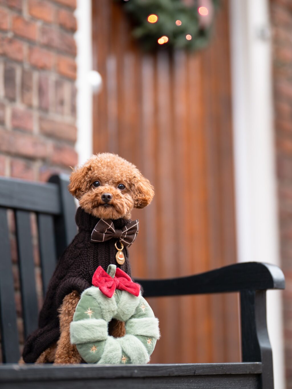 Instagram post from scottysdoggoods. This post is in position 5.