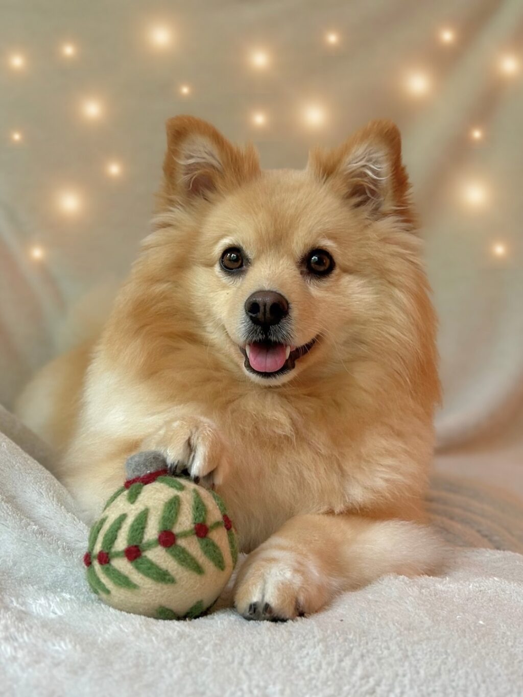 Instagram post from scottysdoggoods. This post is in position 1.