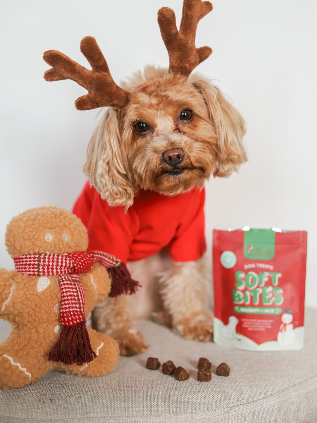 Instagram post from scottysdoggoods. This post is in position 7.