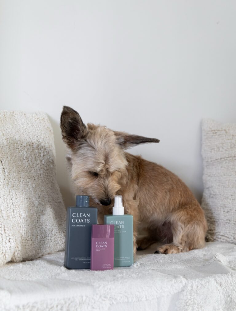 Instagram post from scottysdoggoods. This post is in position 4.