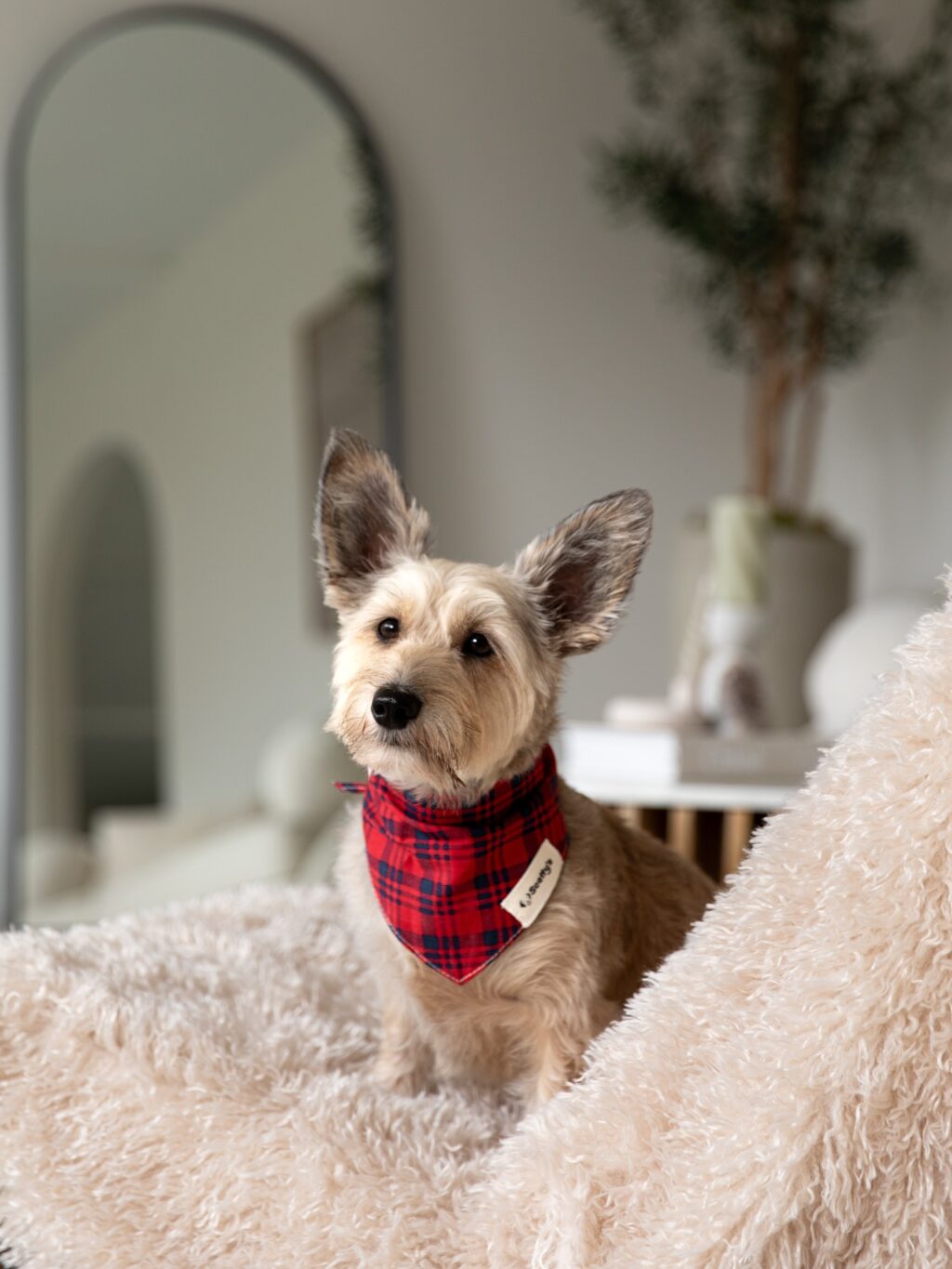 Instagram post from scottysdoggoods. This post is in position 4.