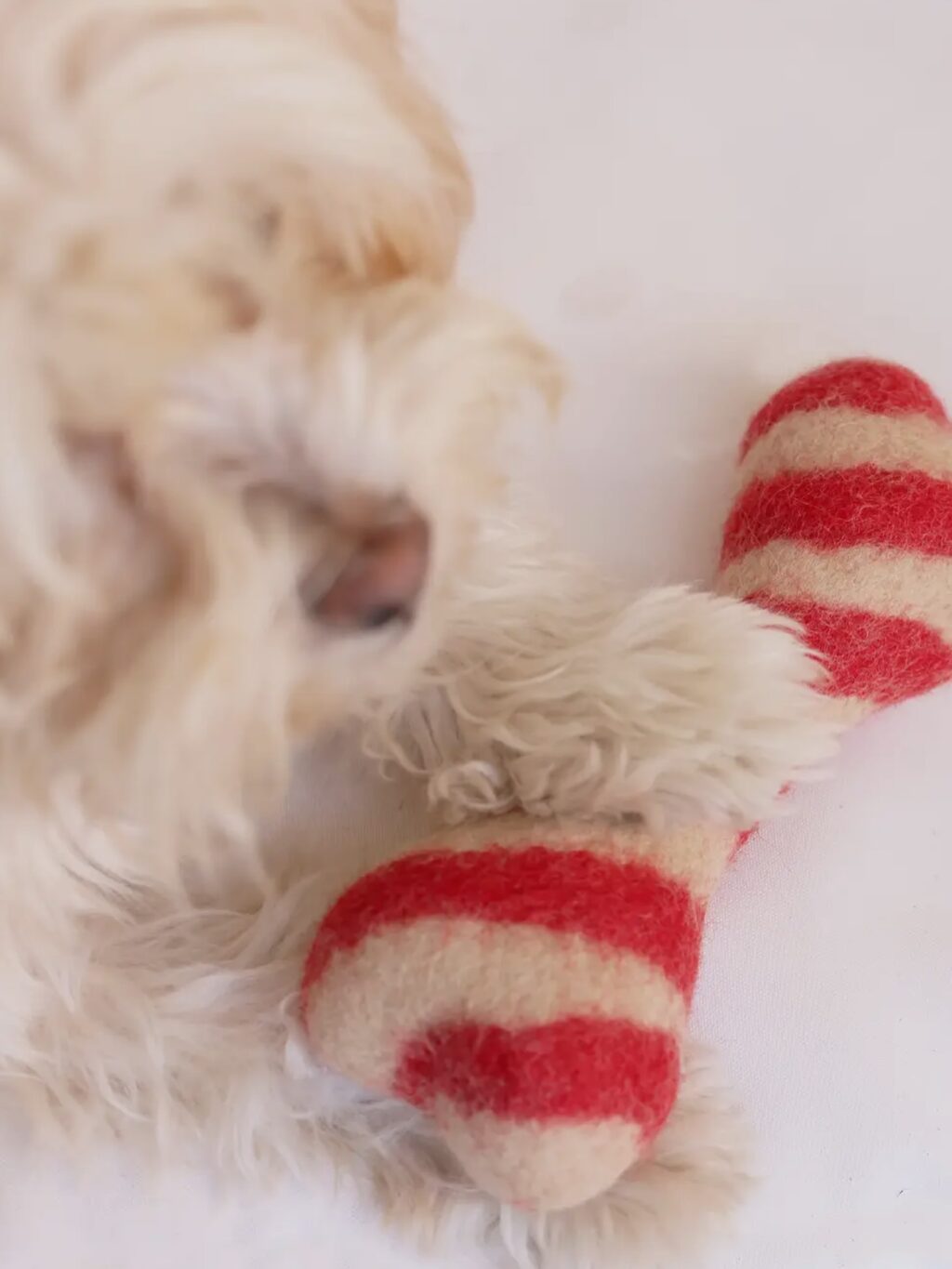 Instagram post from scottysdoggoods. This post is in position 15.