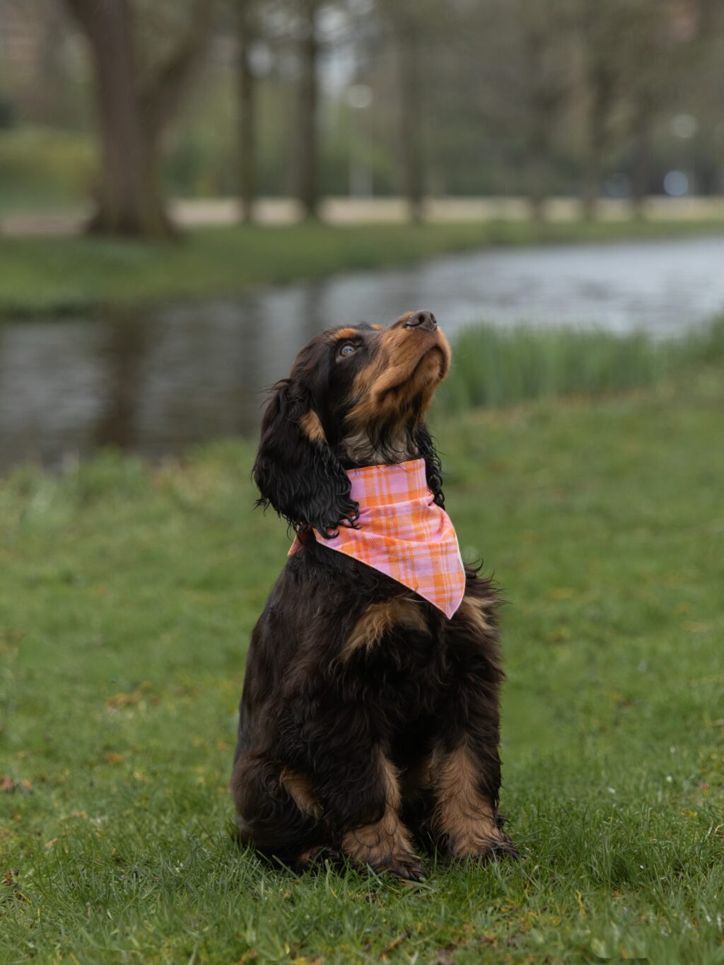 Instagram post from scottysdoggoods. This post is in position 5.