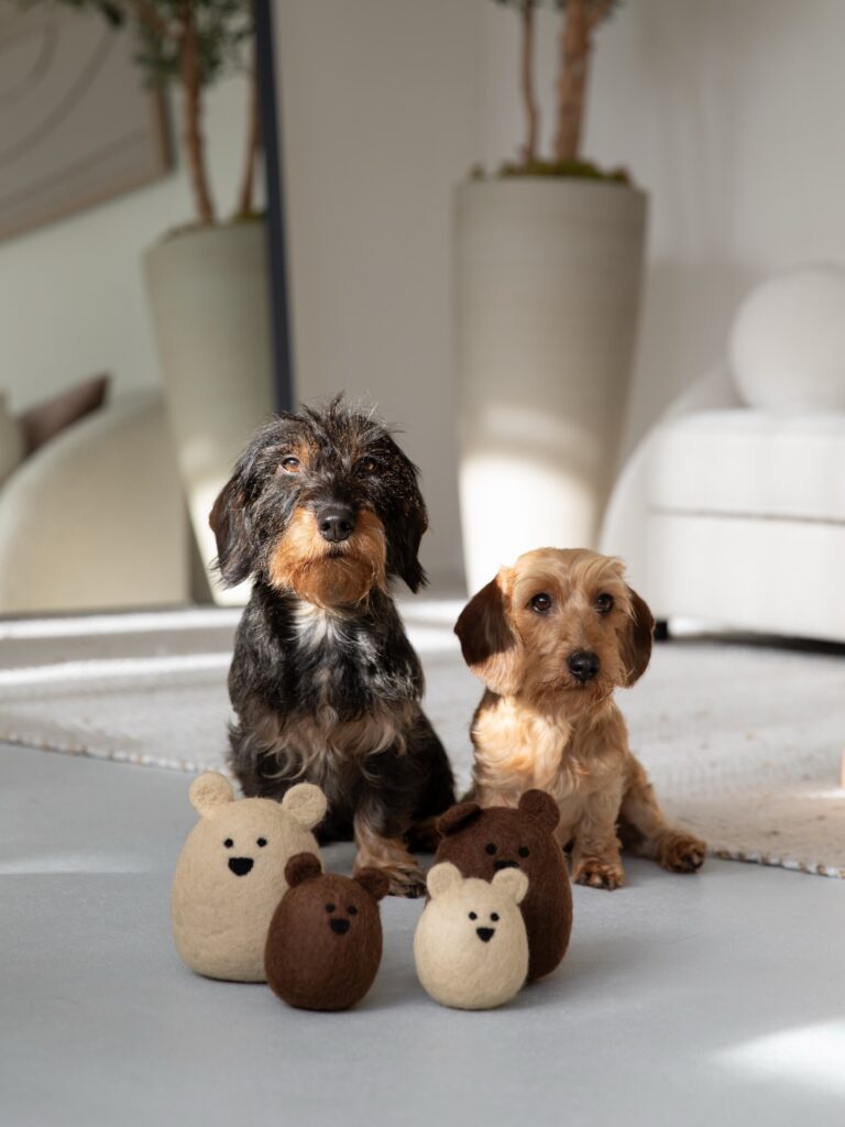 Instagram post from scottysdoggoods. This post is in position 2.