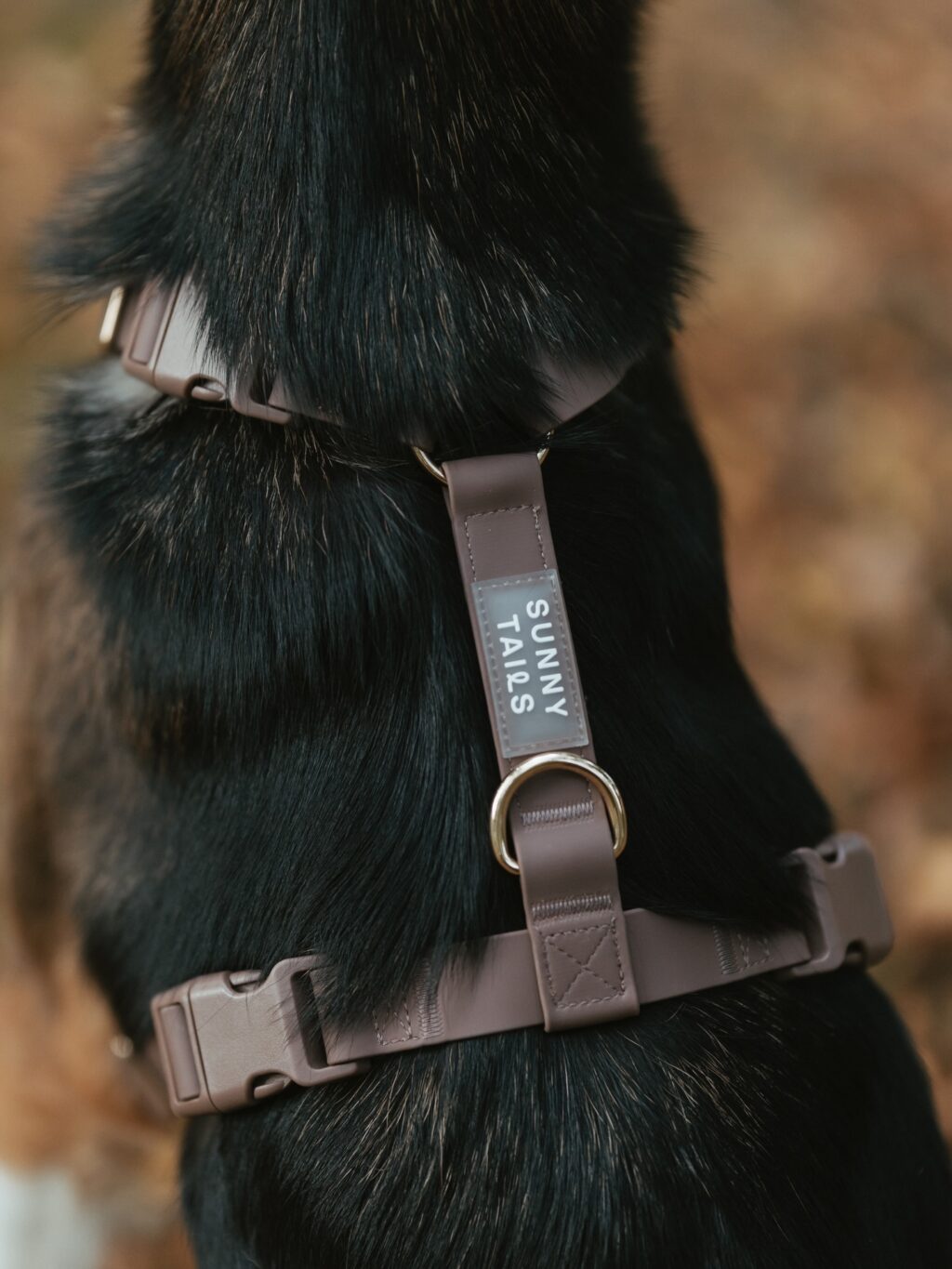 Instagram post from scottysdoggoods. This post is in position 2.