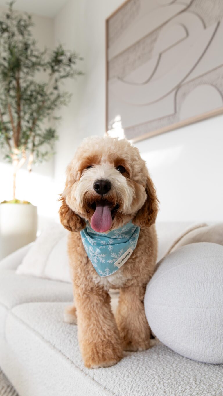 Instagram post from scottysdoggoods. This post is in position 1.