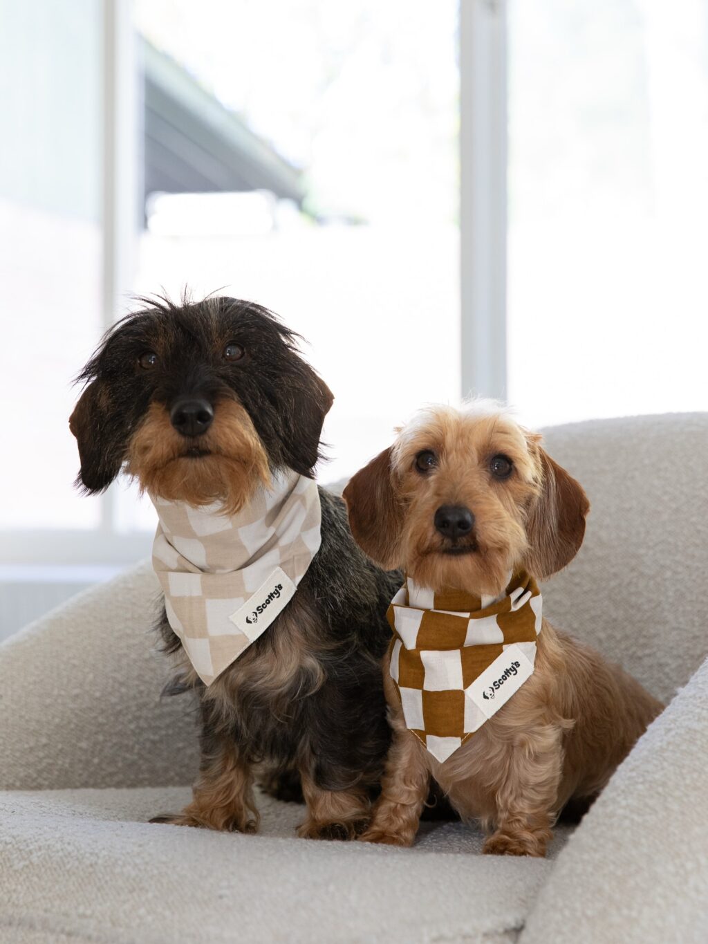 Instagram post from scottysdoggoods. This post is in position 3.