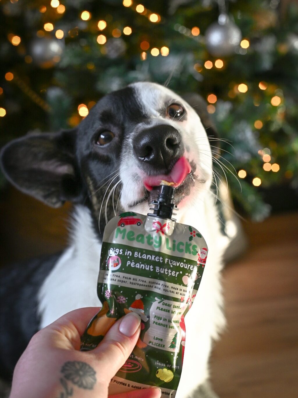 Instagram post from scottysdoggoods. This post is in position 10.