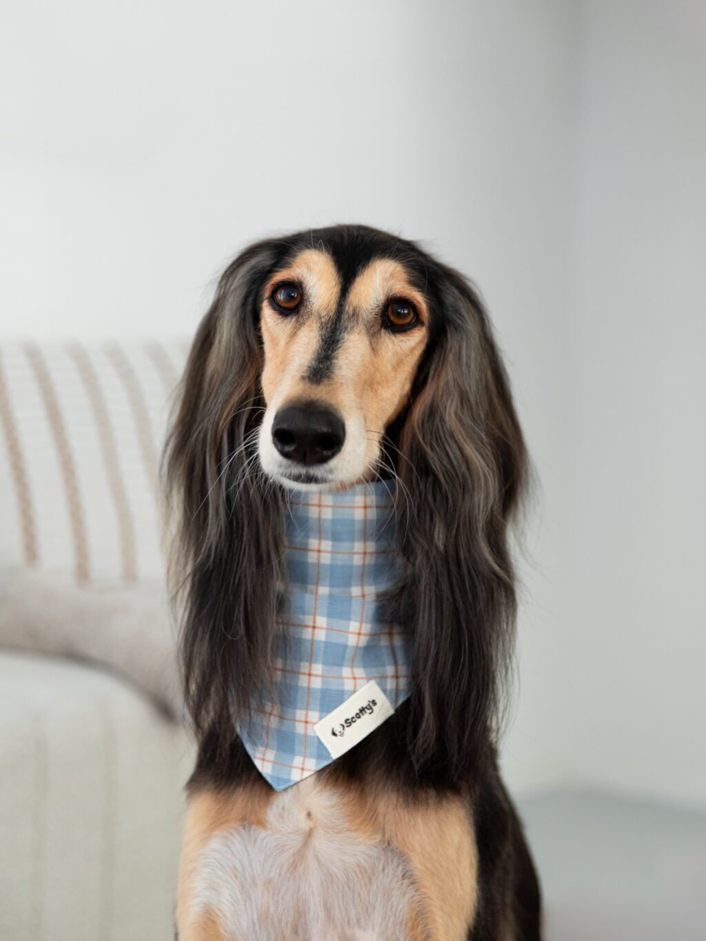 Instagram post from scottysdoggoods. This post is in position 1.