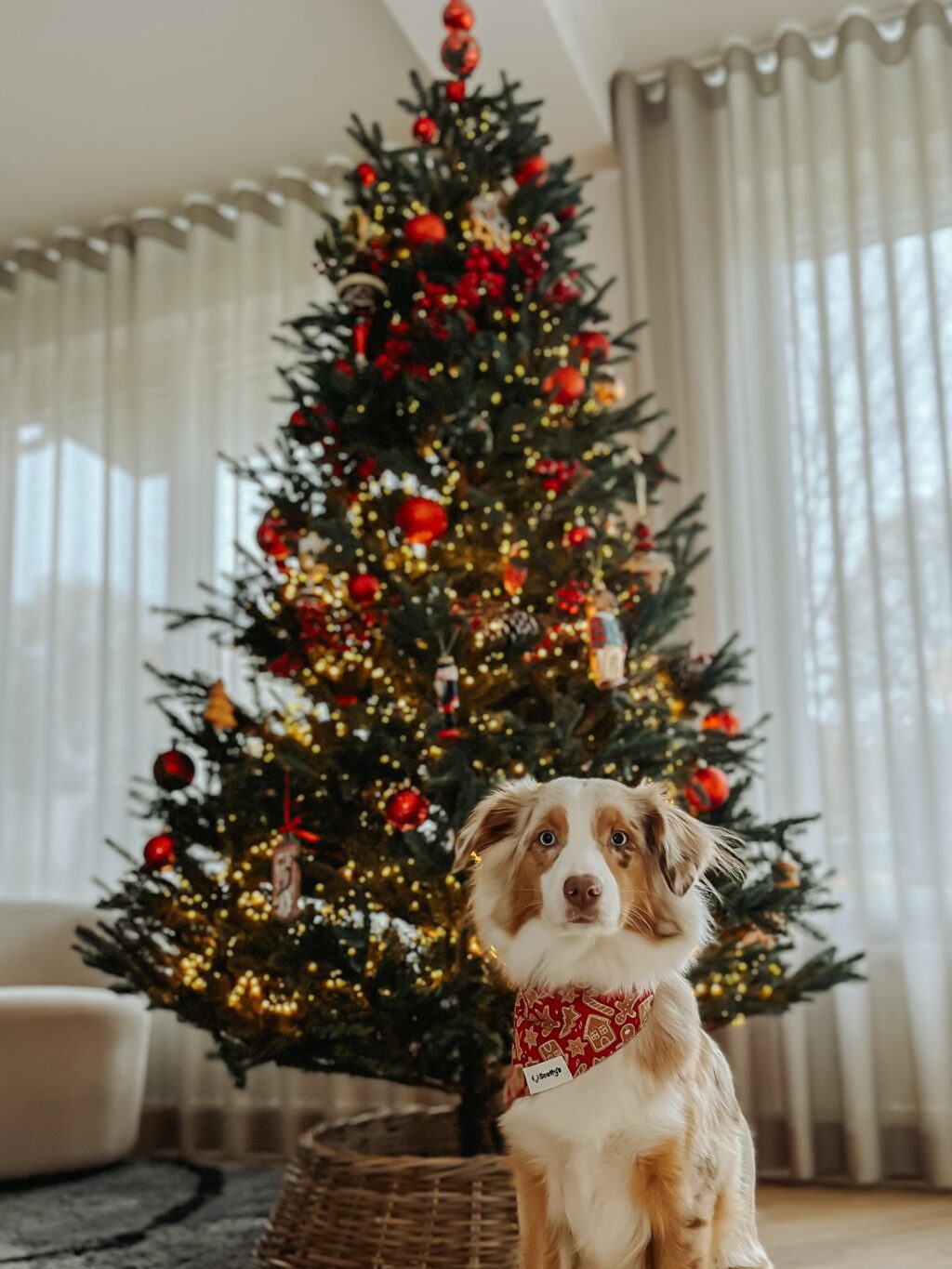 Instagram post from scottysdoggoods. This post is in position 14.