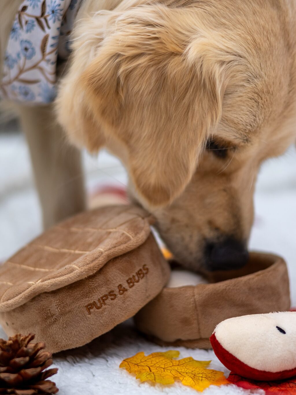 Instagram post from scottysdoggoods. This post is in position 1.