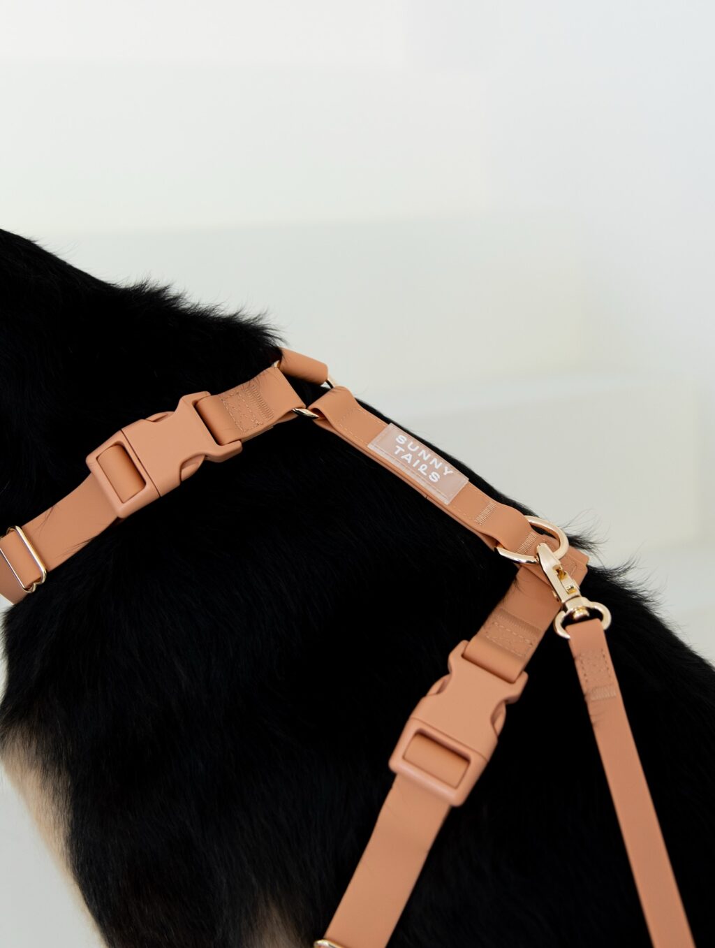 Instagram post from scottysdoggoods. This post is in position 2.