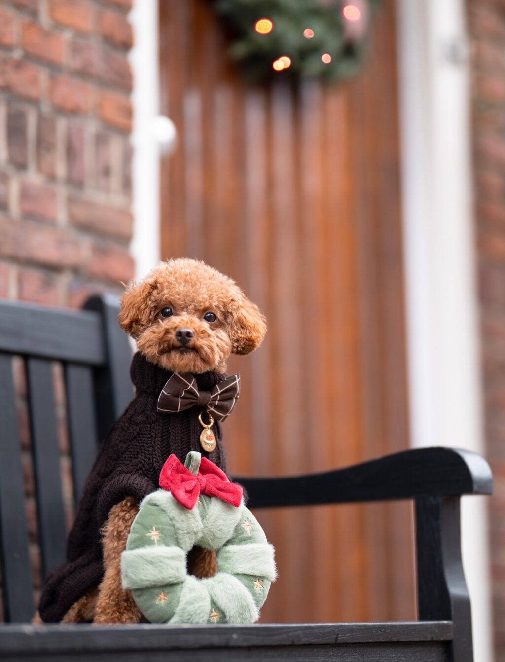 Instagram post from scottysdoggoods. This post is in position 6.