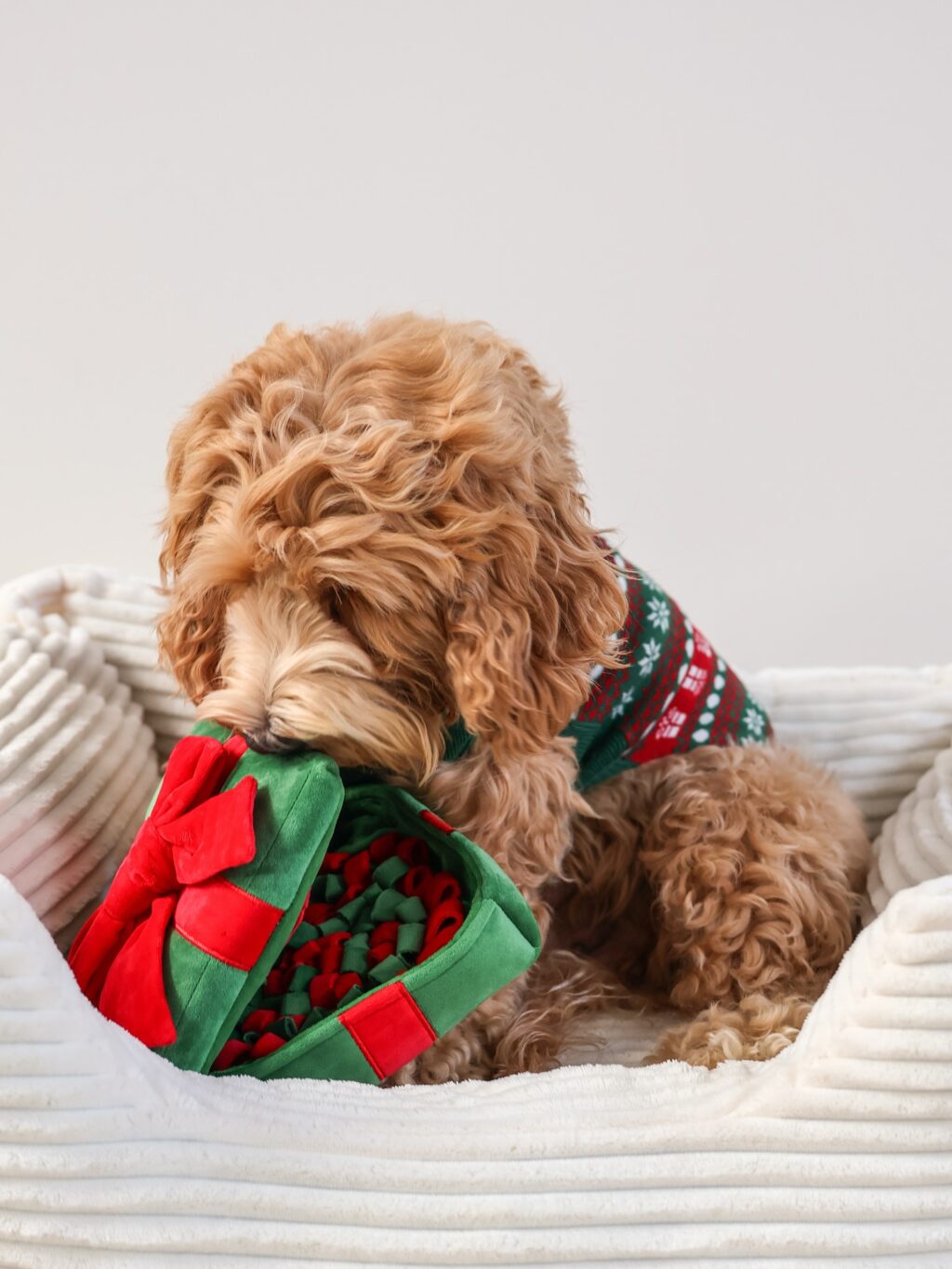 Instagram post from scottysdoggoods. This post is in position 2.