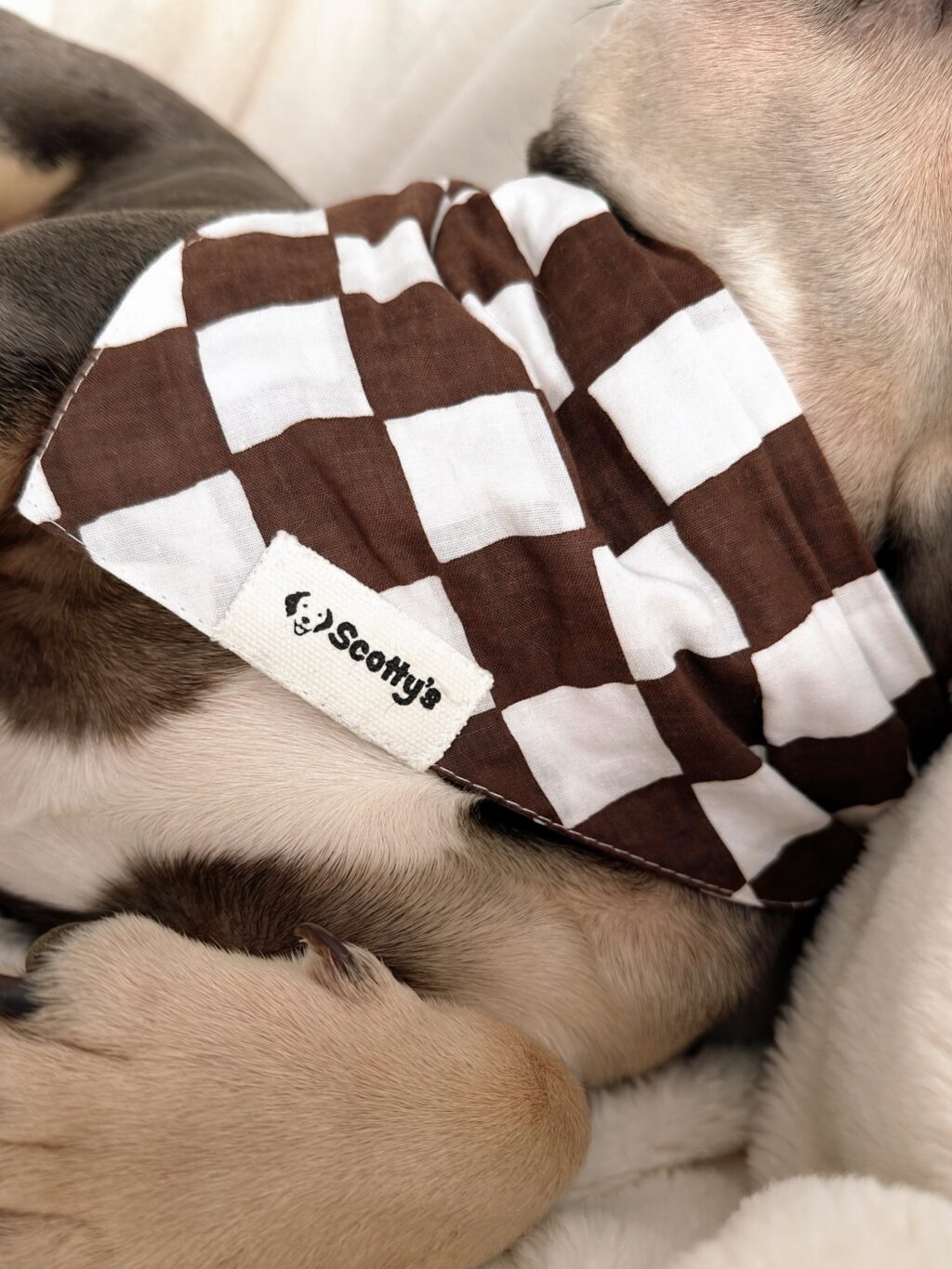 Instagram post from scottysdoggoods. This post is in position 1.