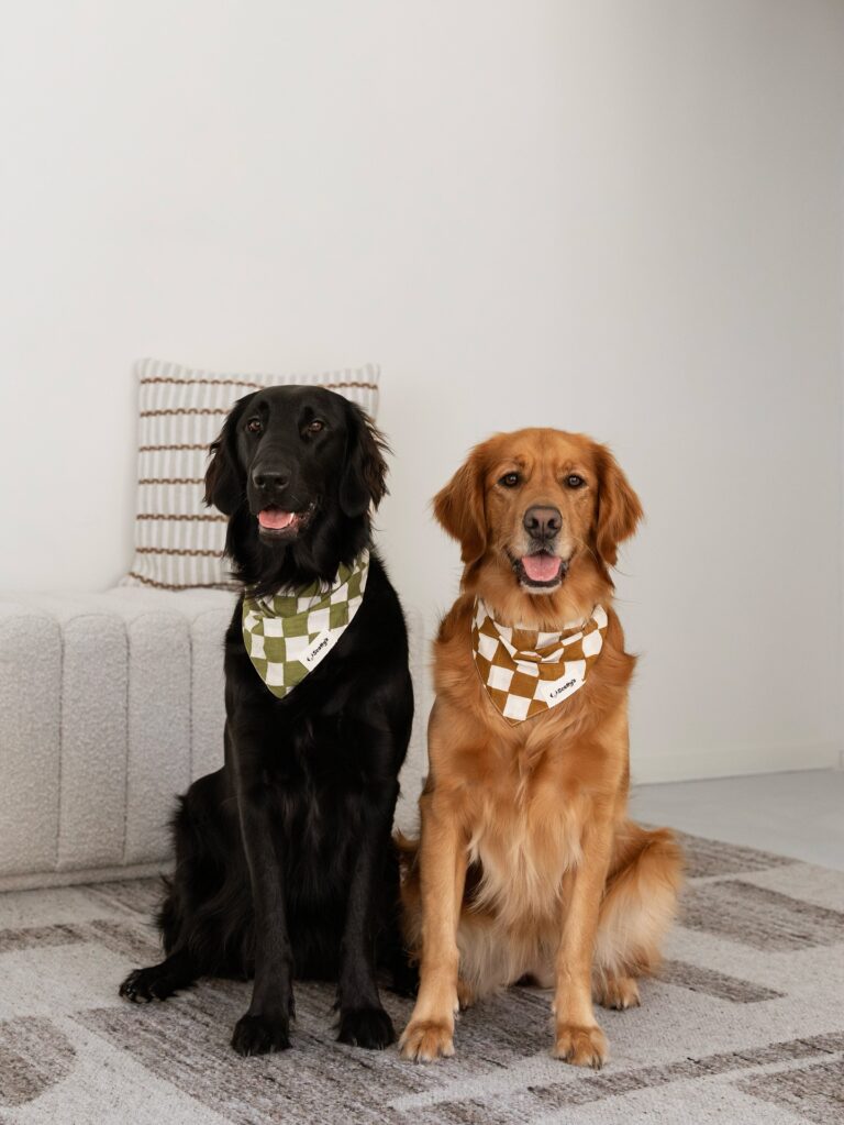 Instagram post from scottysdoggoods. This post is in position 1.