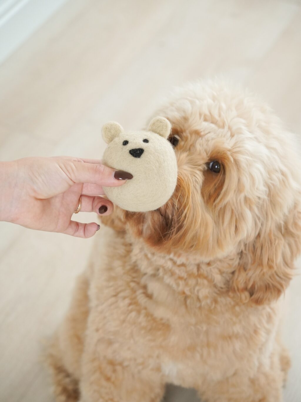 Instagram post from scottysdoggoods. This post is in position 3.