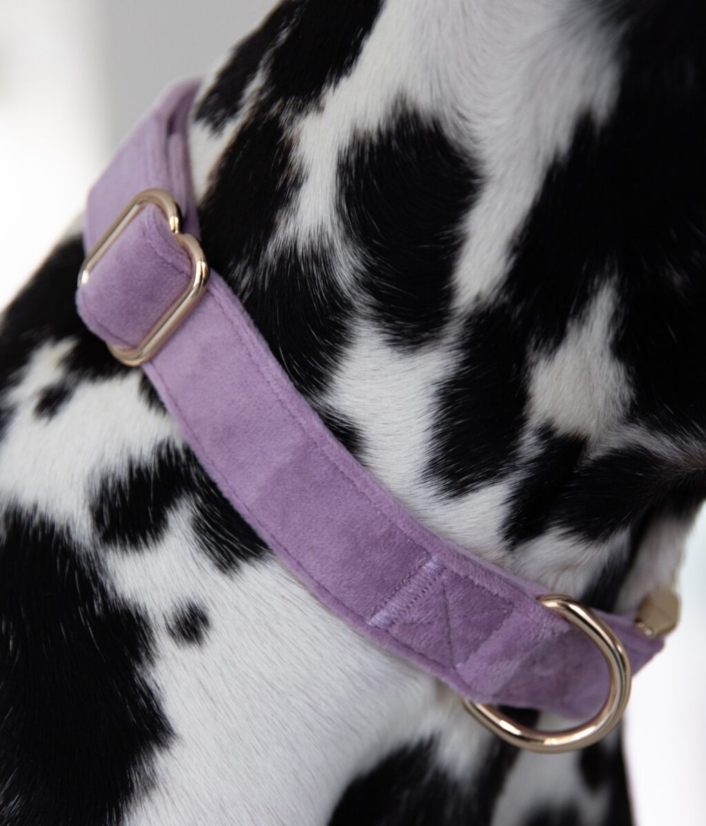 Instagram post from scottysdoggoods. This post is in position 1.