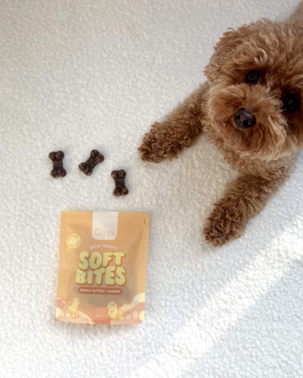 Instagram post from scottysdoggoods. This post is in position 17.