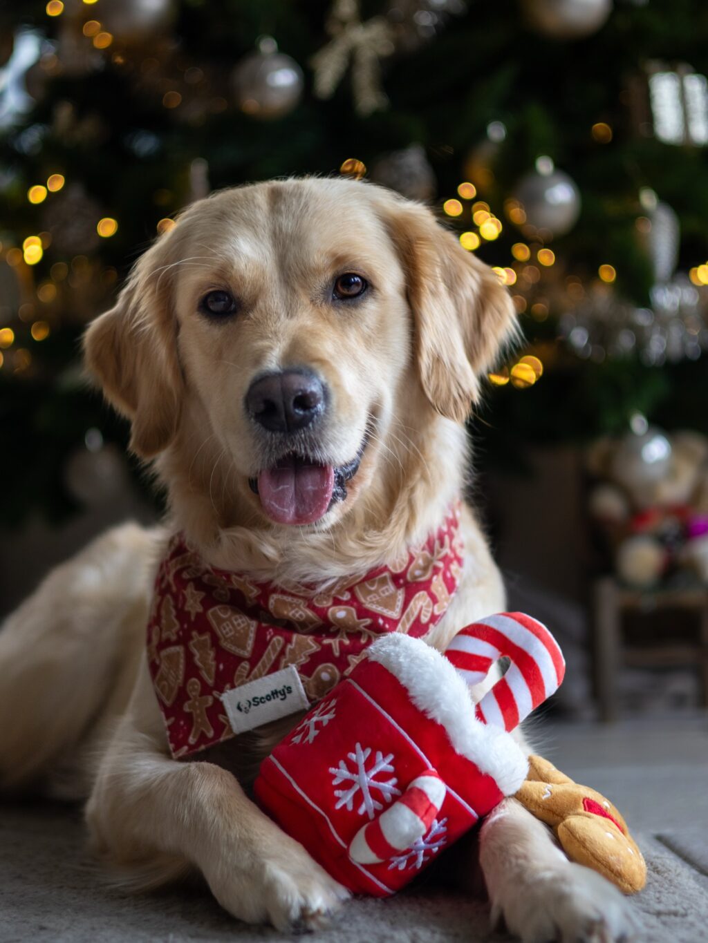 Instagram post from scottysdoggoods. This post is in position 5.