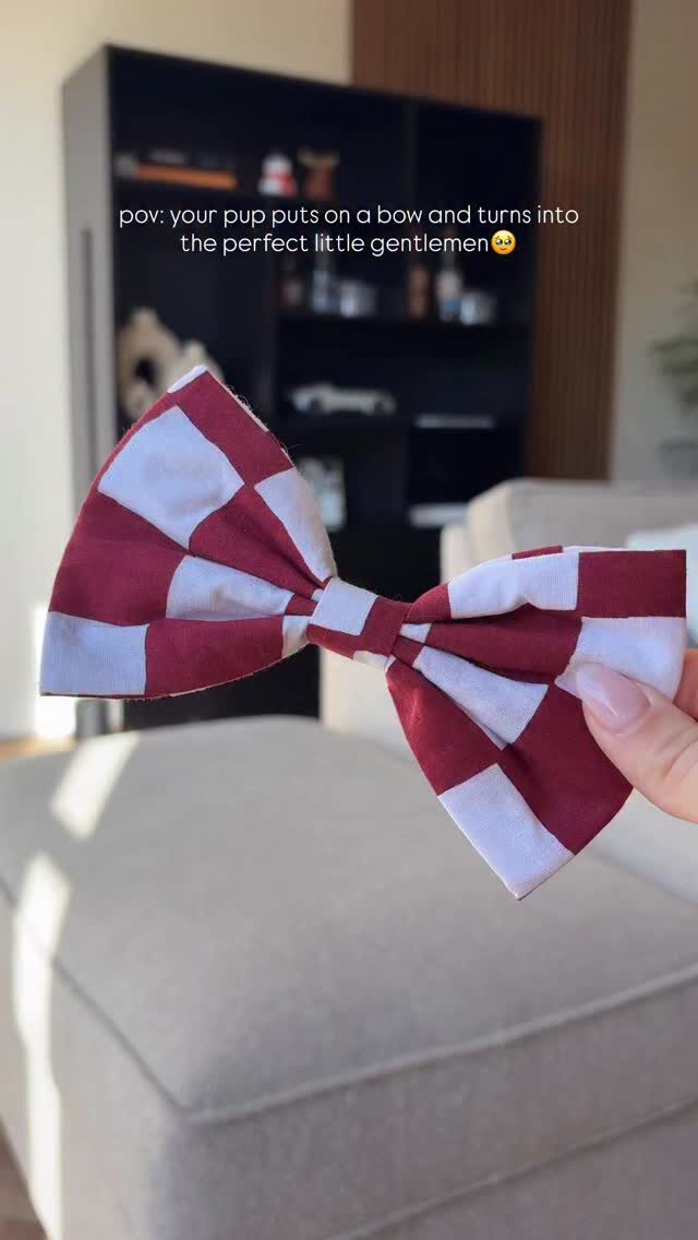 Instagram post from scottysdoggoods. This post is in position 5.