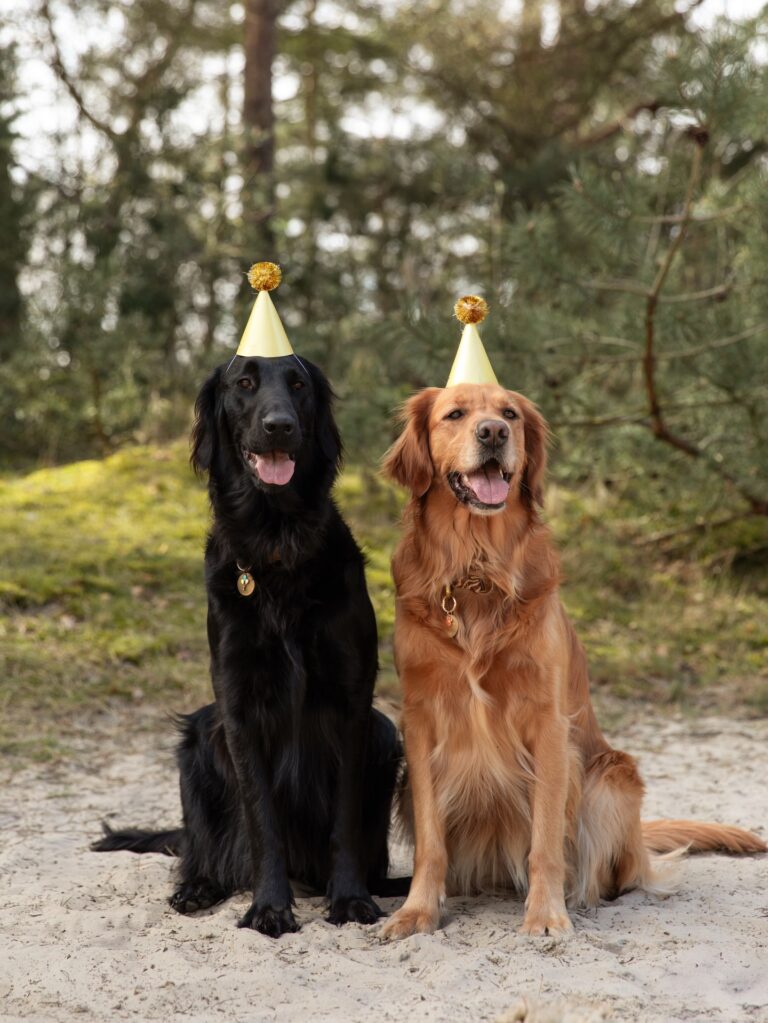 Instagram post from scottysdoggoods. This post is in position 3.