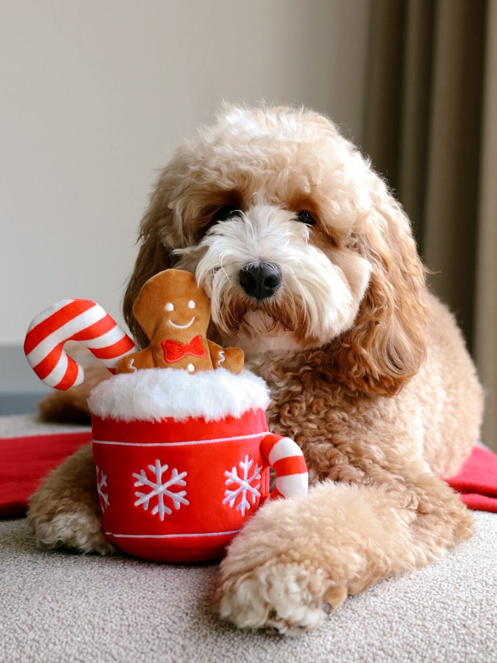 Instagram post from scottysdoggoods. This post is in position 6.