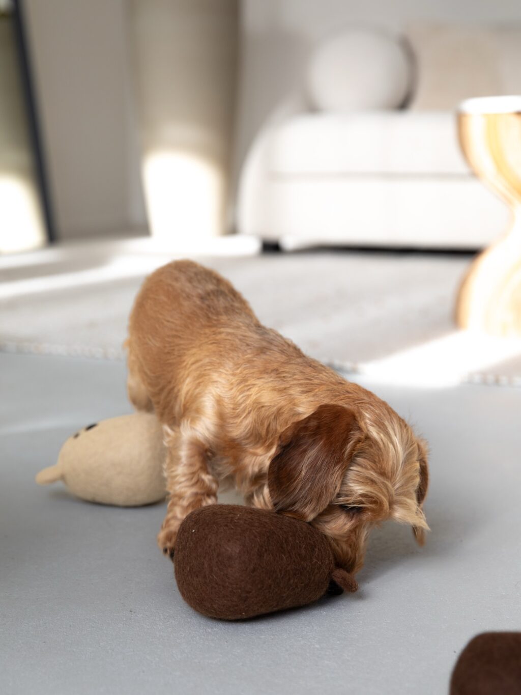 Instagram post from scottysdoggoods. This post is in position 1.