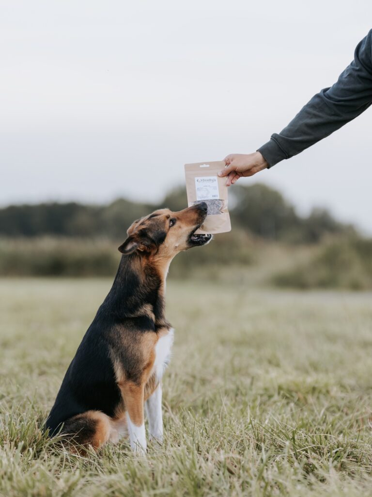 Instagram post from scottysdoggoods. This post is in position 1.