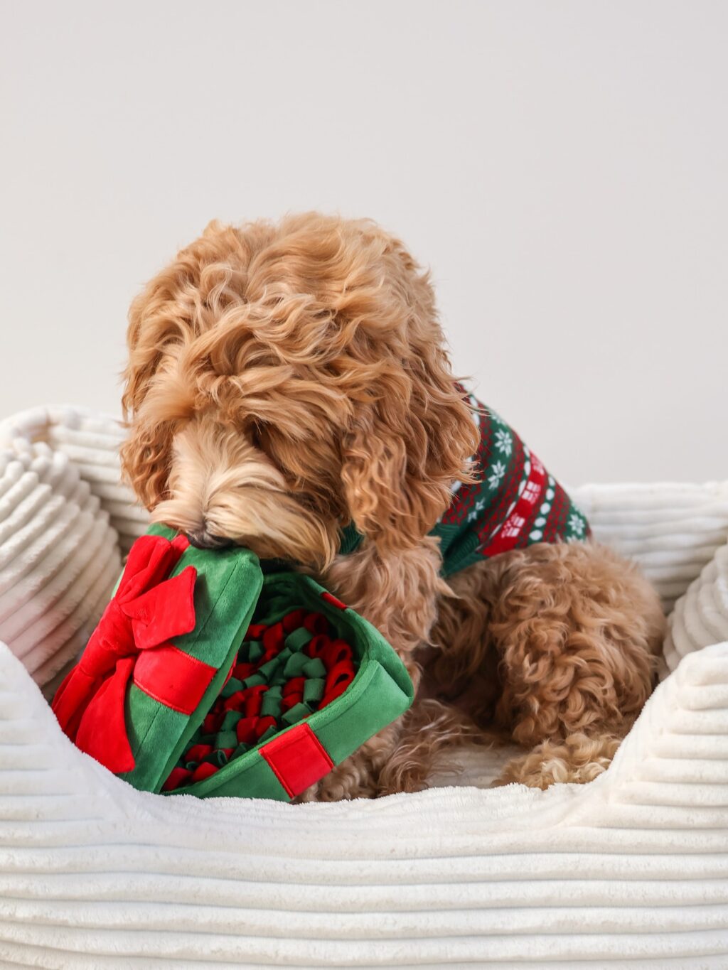 Instagram post from scottysdoggoods. This post is in position 2.