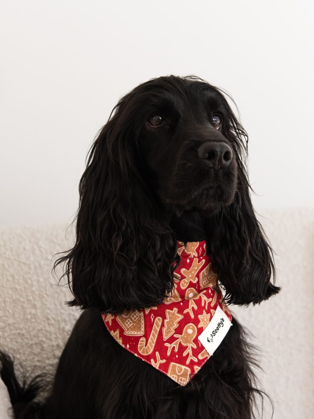 Instagram post from scottysdoggoods. This post is in position 5.